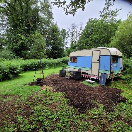 Quirky Eco Stay, Bedding Not Supplied, Peaceful & Private For 2 In Dble Bed Narberth Εξωτερικό φωτογραφία