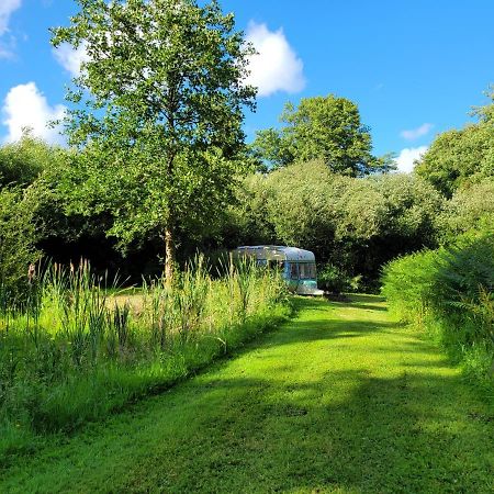 Quirky Eco Stay, Bedding Not Supplied, Peaceful & Private For 2 In Dble Bed Narberth Εξωτερικό φωτογραφία