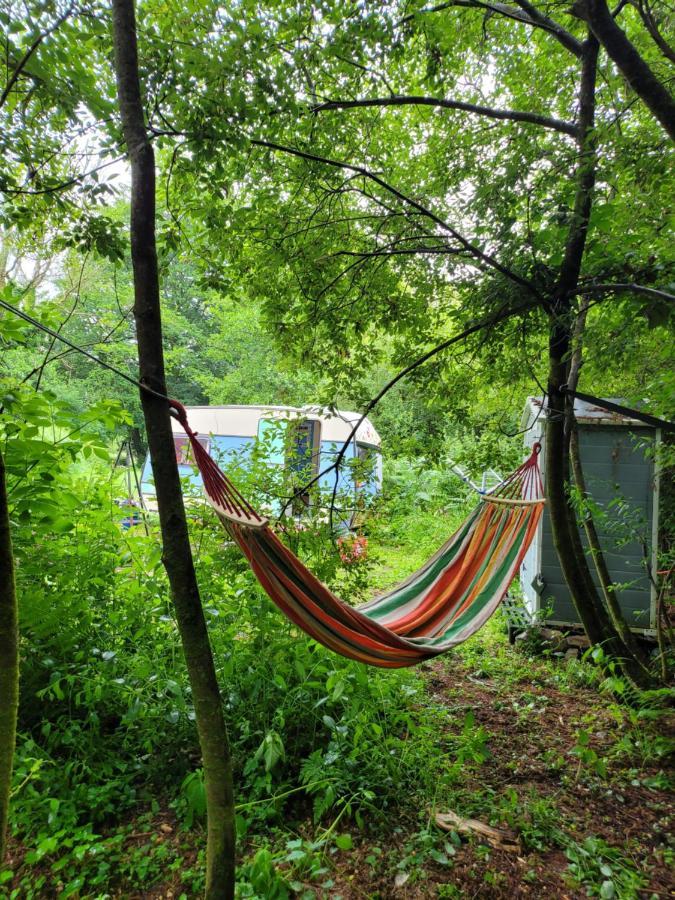 Quirky Eco Stay, Bedding Not Supplied, Peaceful & Private For 2 In Dble Bed Narberth Εξωτερικό φωτογραφία