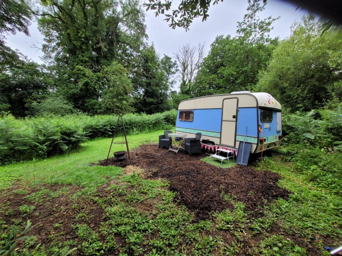 Quirky Eco Stay, Bedding Not Supplied, Peaceful & Private For 2 In Dble Bed Narberth Εξωτερικό φωτογραφία